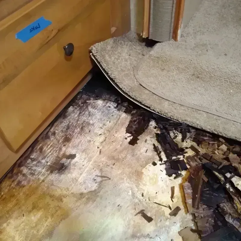 Wood Floor Water Damage in Decatur, GA